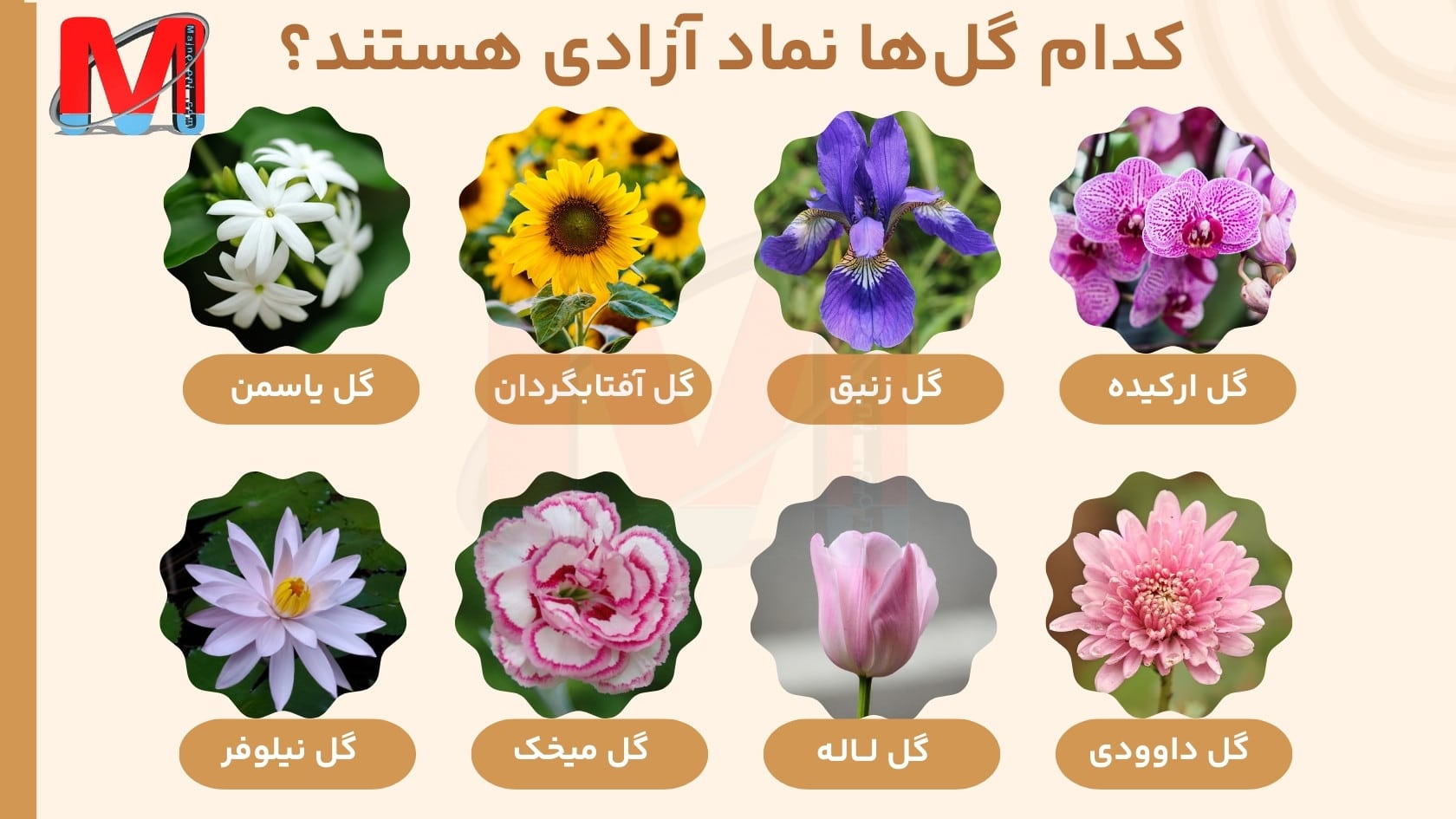 کدام گل‌ها نماد آزادی هستند؟