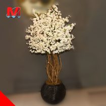 درختچه شکوفه با گلدان سفال مشکی