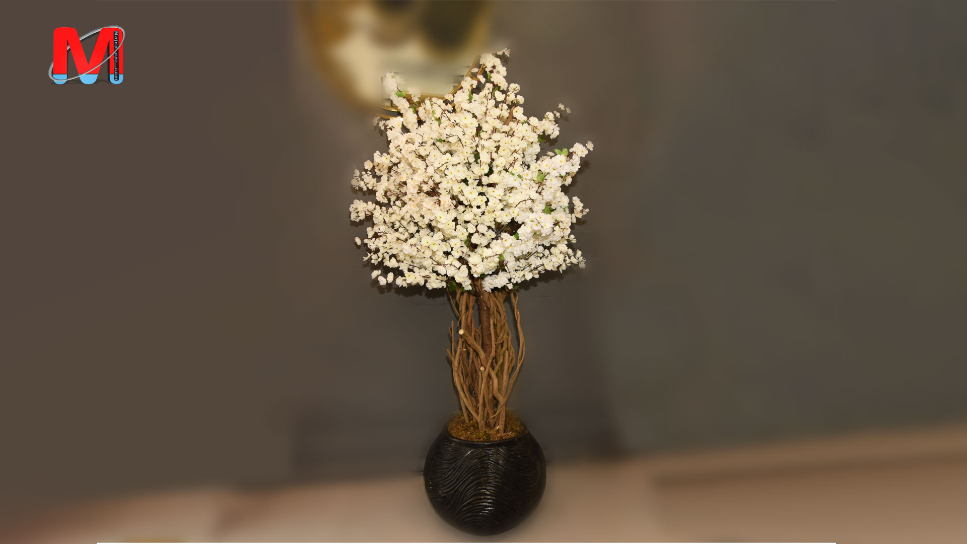 درختچه شکوفه با گلدان سفال مشکی (1)