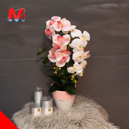 گل ارکیده سفید صورتب با گلدان سرامیکی