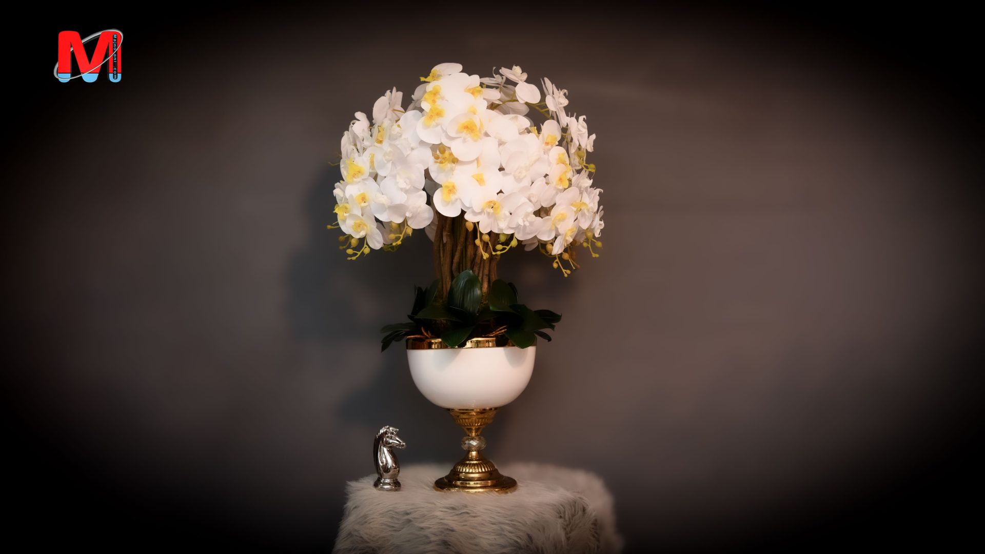 گل ارکیده با گلدان سفید فلزی