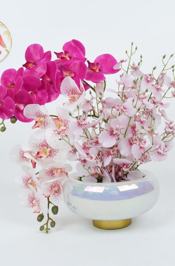 ترکیب رؤیایی گل ارکیده صورتی و سرخآبی در گلدان ۷ رنگ – شاهکاری از طبیعت در دکوراسیون شما!