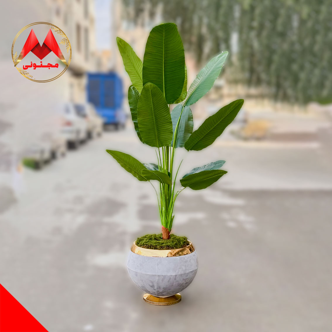 خرید نخل نیکولای دو متری با برگ‌های لمسی – ترکیب زیبایی، کیفیت، و دکوراسیون حرفه‌ای